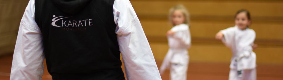 Karate Mühlbach