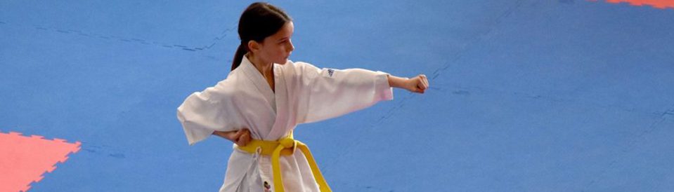 Karate Mühlbach