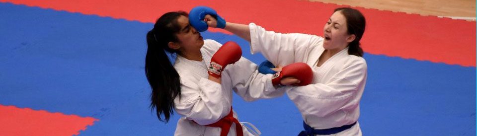 Karate Mühlbach