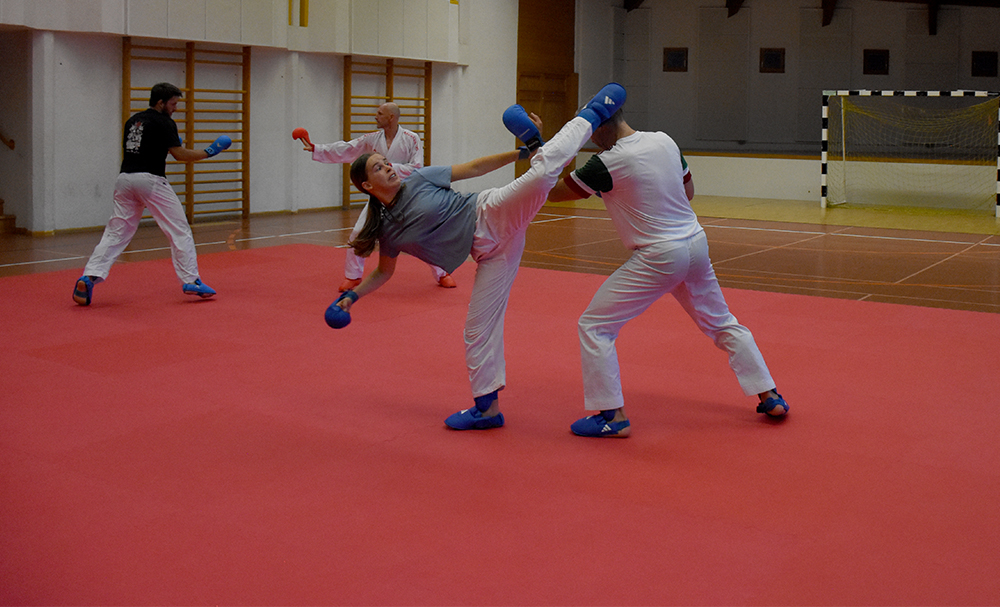 dsc 8024 kopie