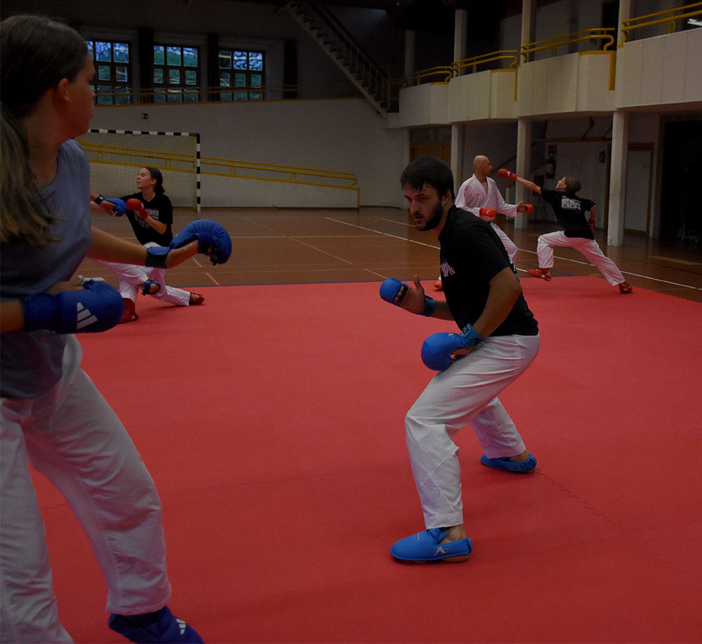 dsc 8197 kopie