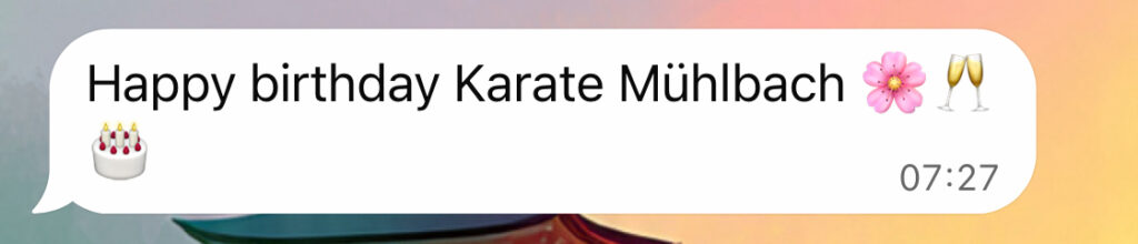 10 Jahre Karate Mühlbach screenshot