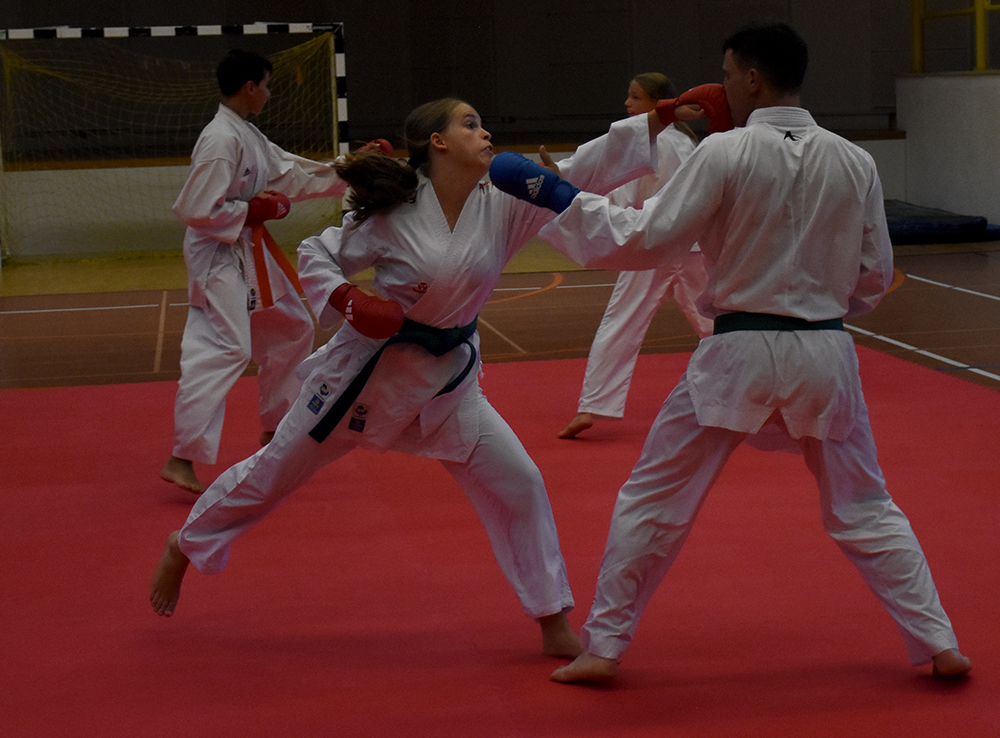 Beginn der Jubilläums-Saison kumite (10)