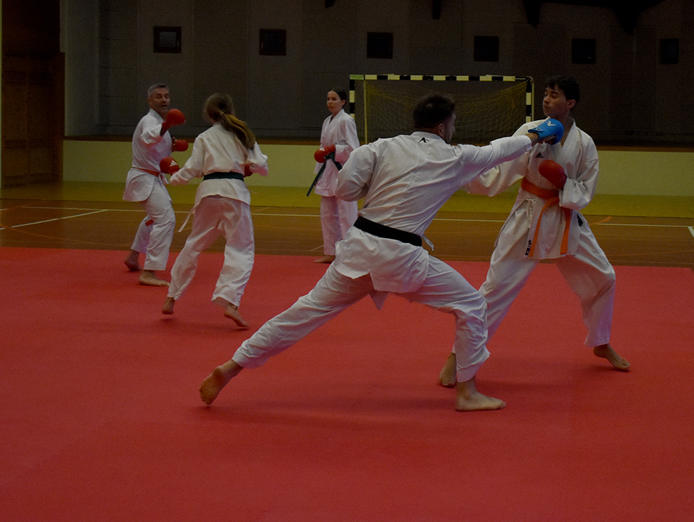 Beginn der Jubilläums-Saison kumite (14)