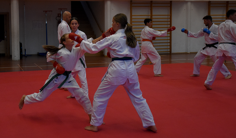 Beginn der Jubilläums-Saison kumite (4)
