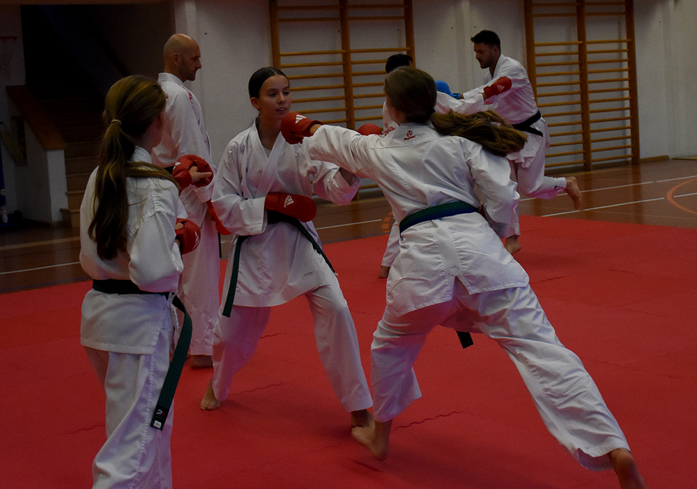 Beginn der Jubilläums-Saison kumite (5)