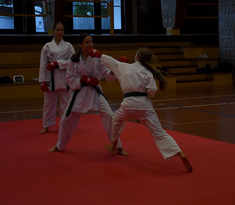 Beginn der Jubilläums-Saison kumite (6)