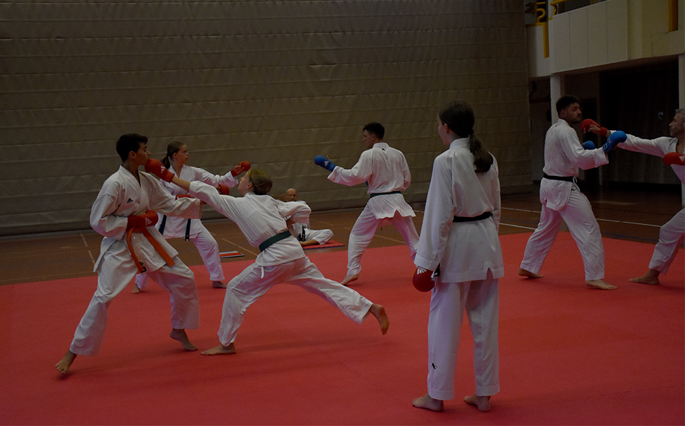 Beginn der Jubilläums-Saison kumite (8)