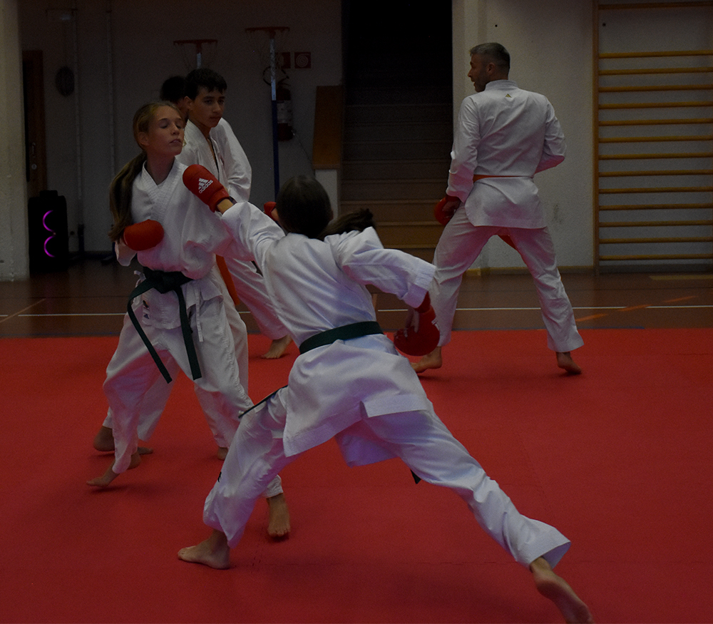 Beginn der Jubilläums-Saison kumite (9)