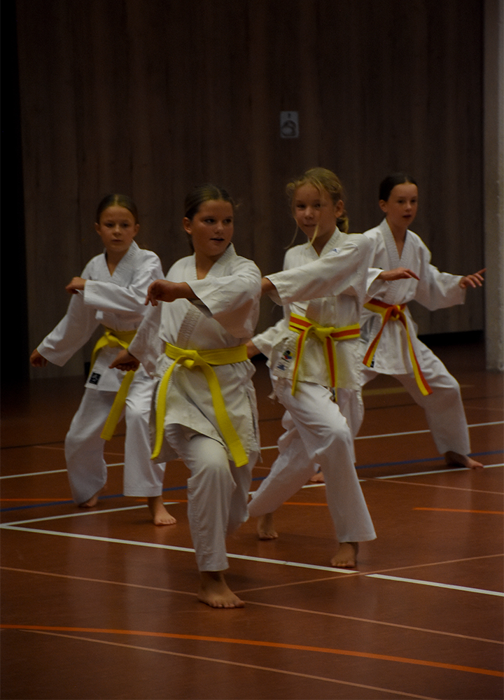 Beginn der Jubilläums-Saison trainng (12)