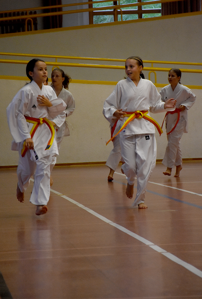 Beginn der Jubilläums-Saison trainng (2)